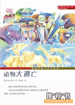 关于动物的书：和动物有关的绘本，陪伴孩子的动物朋友