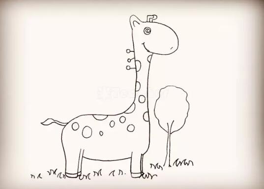 长颈鹿简笔画怎么画步骤图片