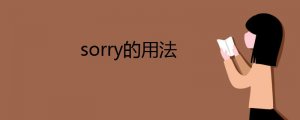 sorry的用法