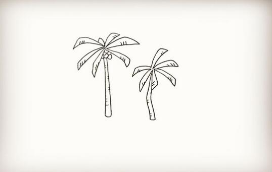 椰岛上的椰子树简笔画步骤图片