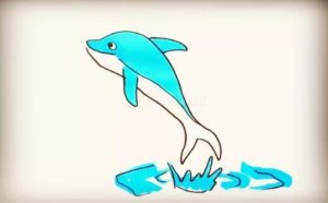 海洋生物海豚简笔画图片