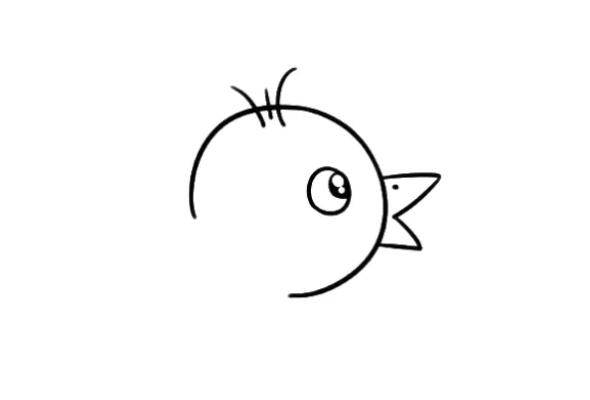 飞翔的小鸟简笔画教程图片简单