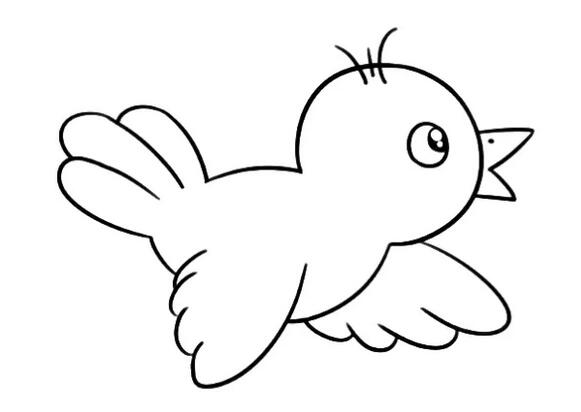 飞翔的小鸟简笔画教程图片简单