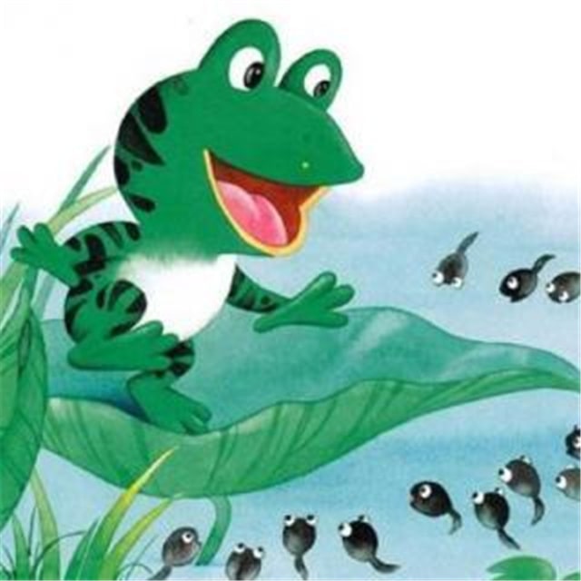 儿童绘本故事《小蝌蚪找妈妈》