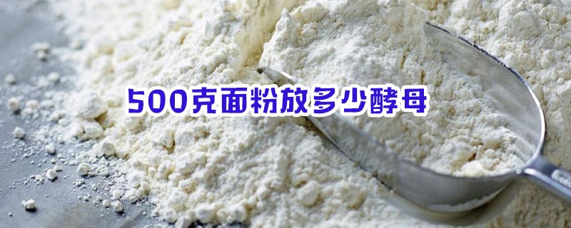 500克面粉放多少酵母