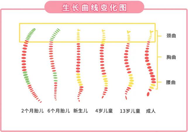 婴儿什么时候用枕头