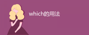 which的用法