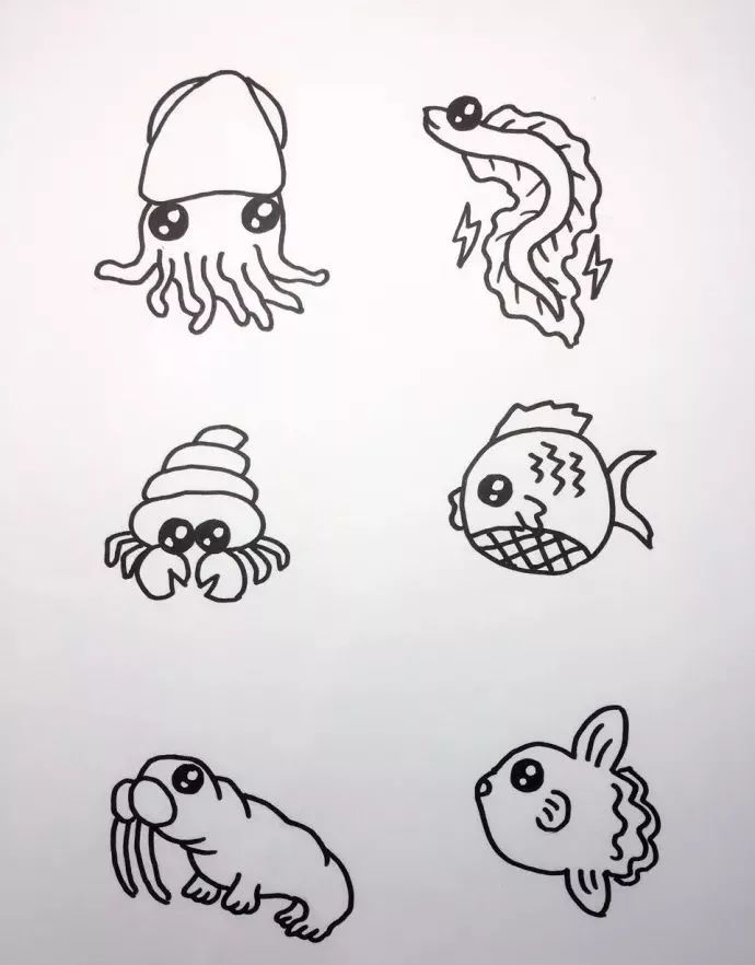 海底世界海洋生物简笔画图片