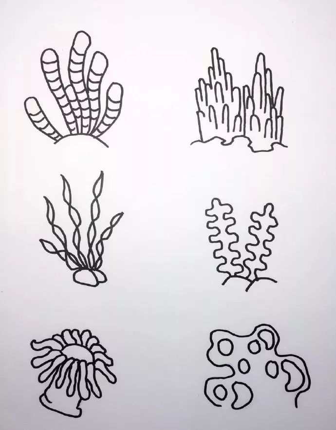 海底世界海洋生物简笔画图片