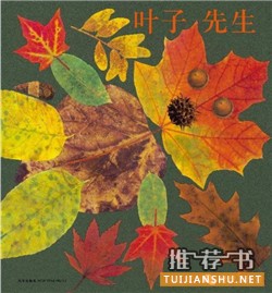 【书单】秋天的绘本，和孩子拥抱最美的季节