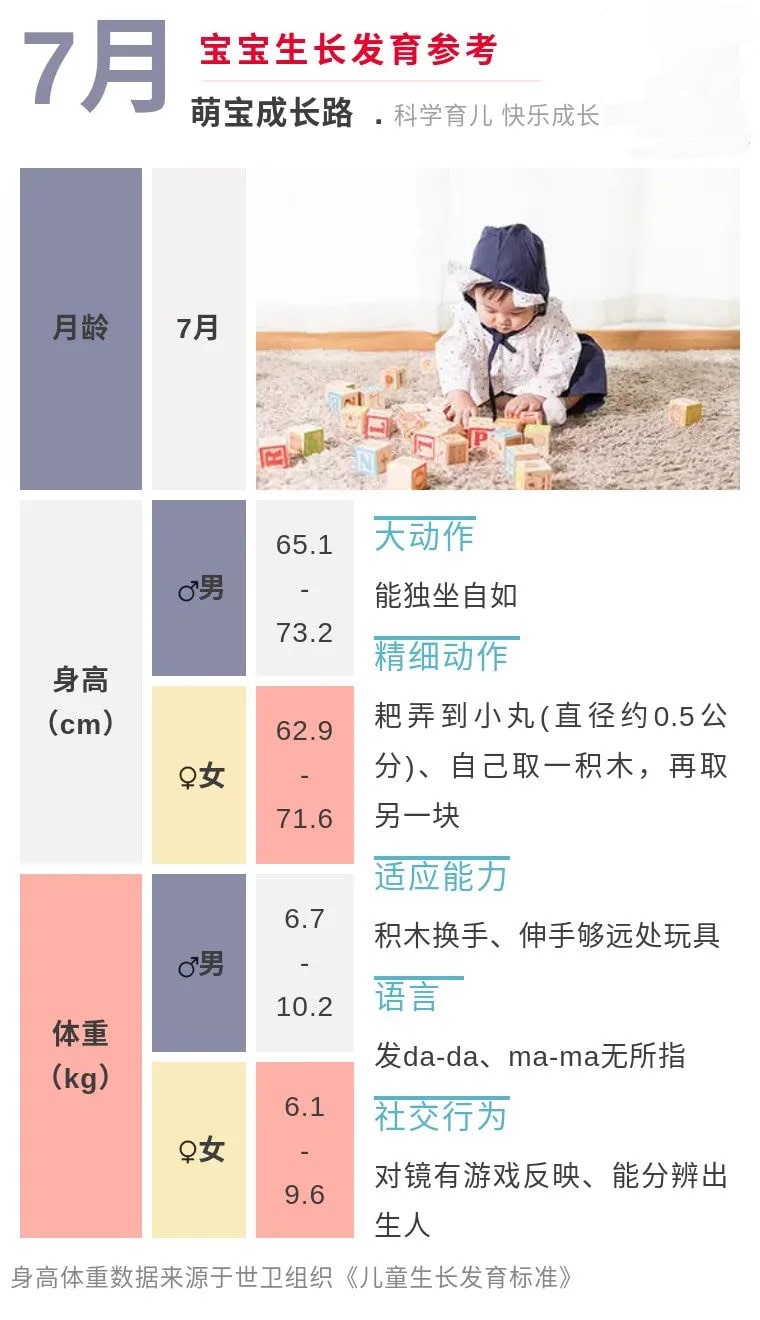 7个月宝宝发育指标 附早教指南