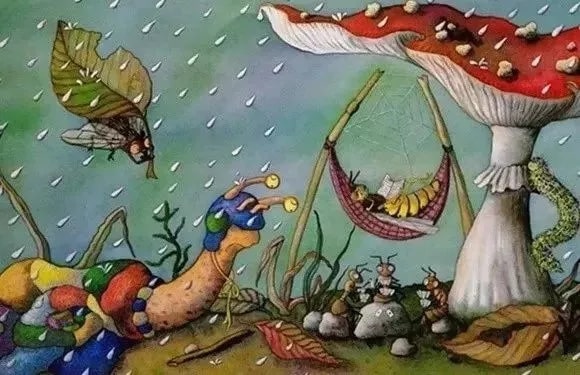 儿童绘本故事《小蜗牛找房子》