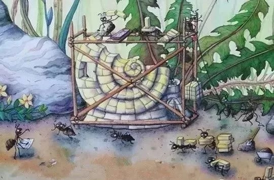 儿童绘本故事《小蜗牛找房子》