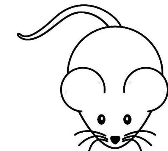 卡通小老鼠简笔画图片大全可爱