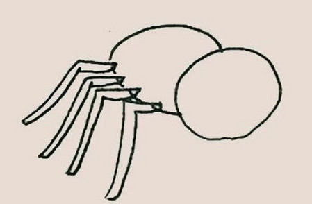 蜘蛛简笔画彩色画法