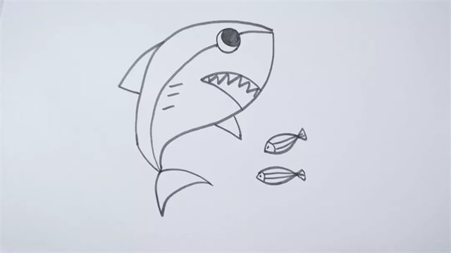 鲨鱼简笔画步骤图片