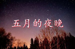 《五月的夜晚》教案教学设计