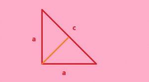 直角三角形面积公式