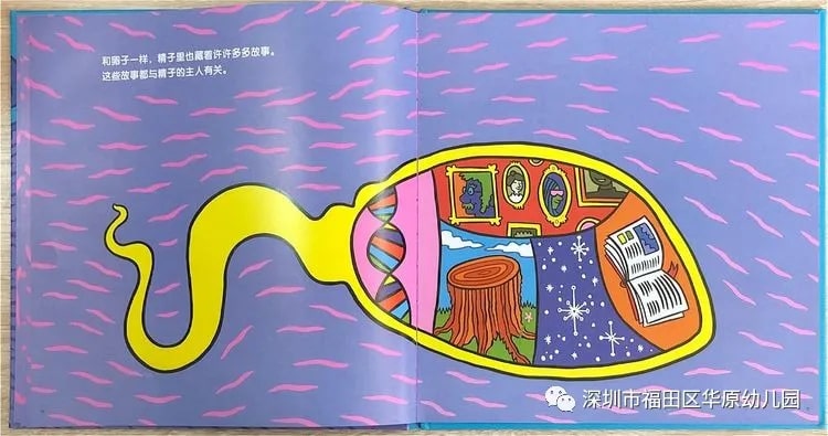 儿童性教育启蒙绘本《我从哪里来》