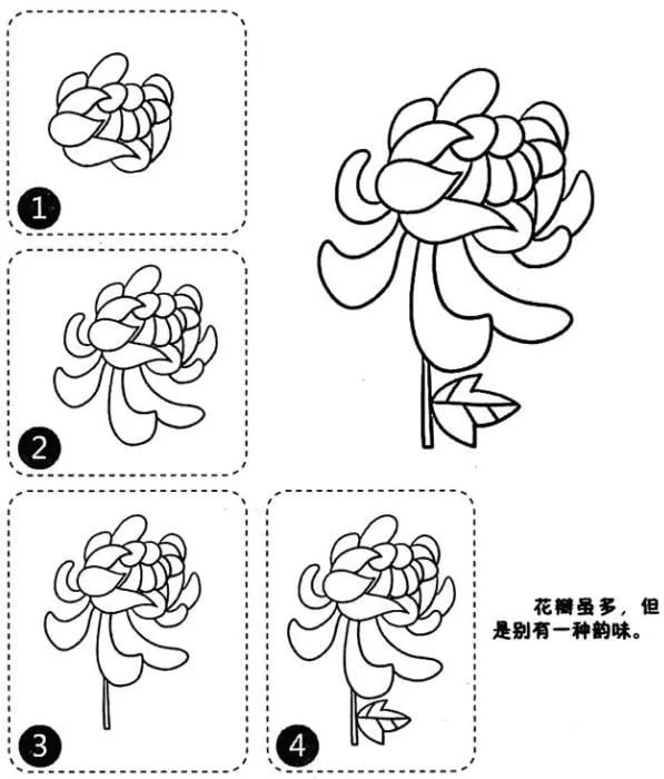 菊花简笔画怎么画步骤图解