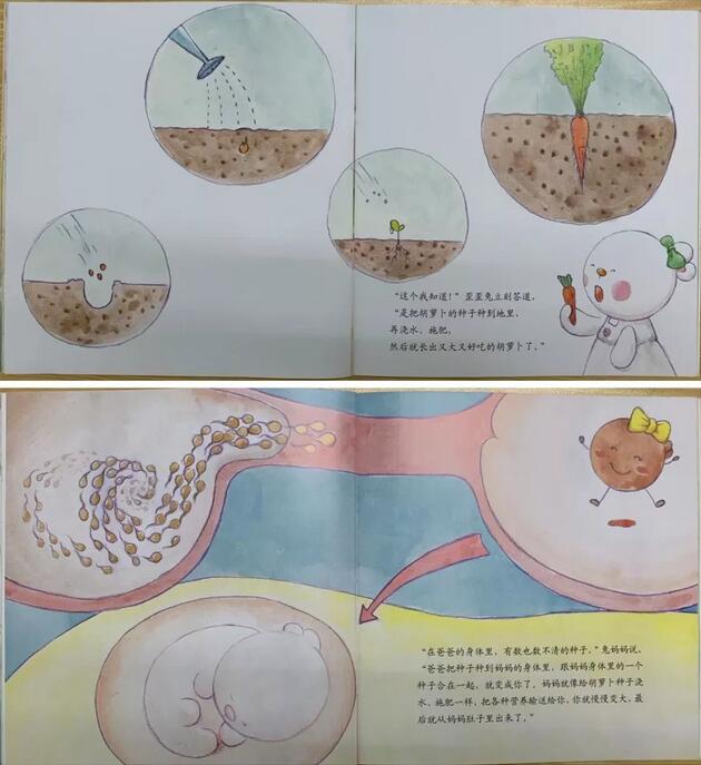 关于我从哪里来，这些性教育绘本清楚又不尴尬