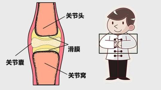 幼儿园中班健康教案《会动的关节》