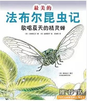 书单 | 10本夏日消暑图书，带孩子探索夏天的秘密