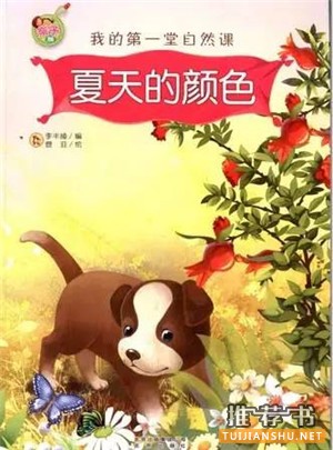 书单 | 10本夏日消暑图书，带孩子探索夏天的秘密