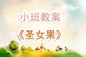 幼儿园小班教案《圣女果》