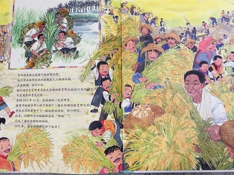 袁隆平的故事《一粒种子改变世界绘本》