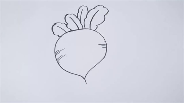 蔬菜萝卜简笔画步骤图片