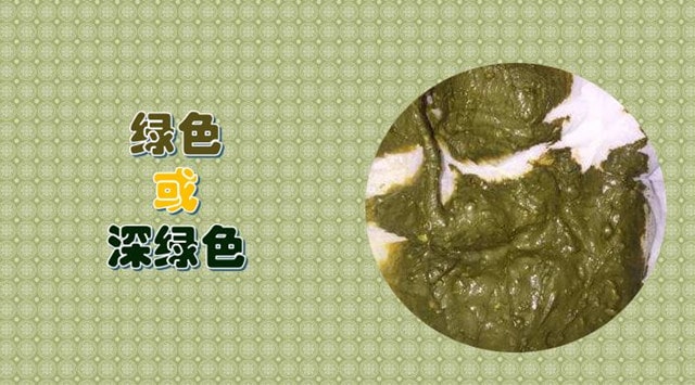 11种宝宝大便绿色的原因及改善方式