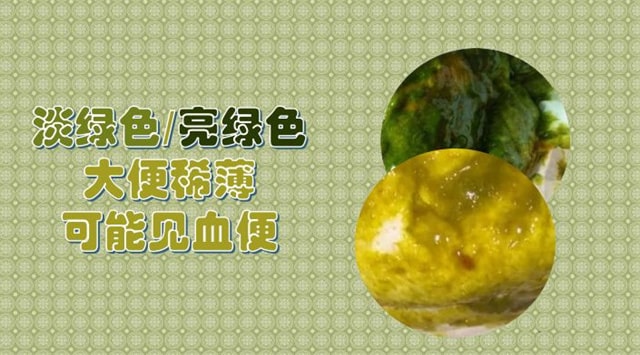 11种宝宝大便绿色的原因及改善方式