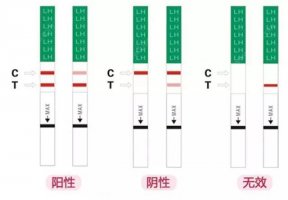 排卵试纸怎么看是否排卵