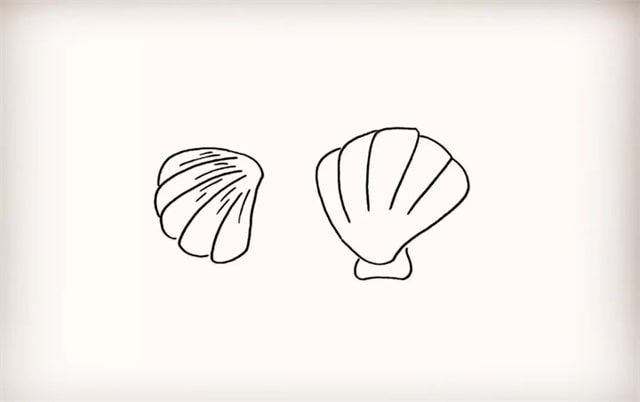海洋生物贝壳简笔画步骤图片