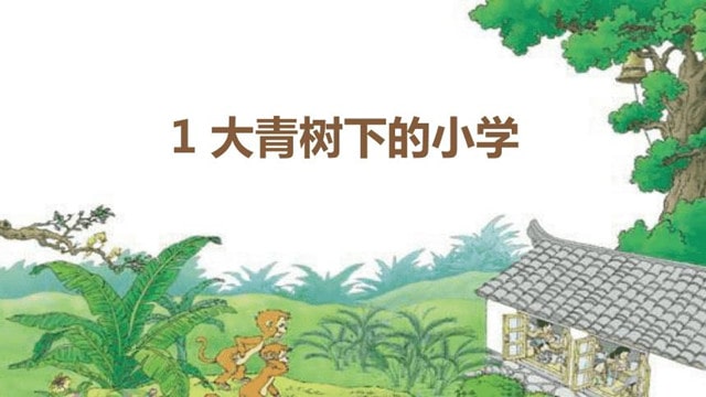 大青树下的小学教案