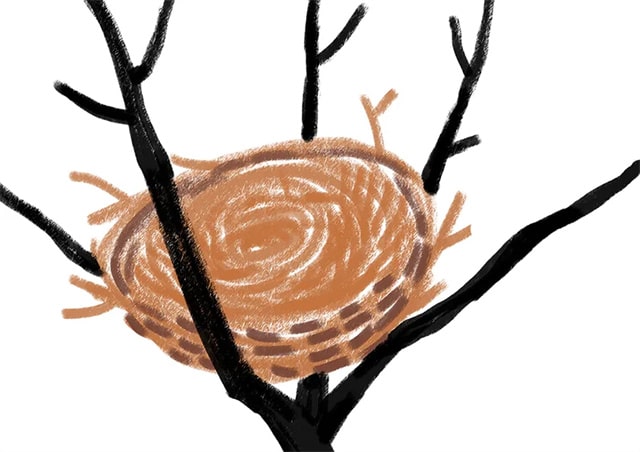 6-9岁少儿美术课程《鸟窝》