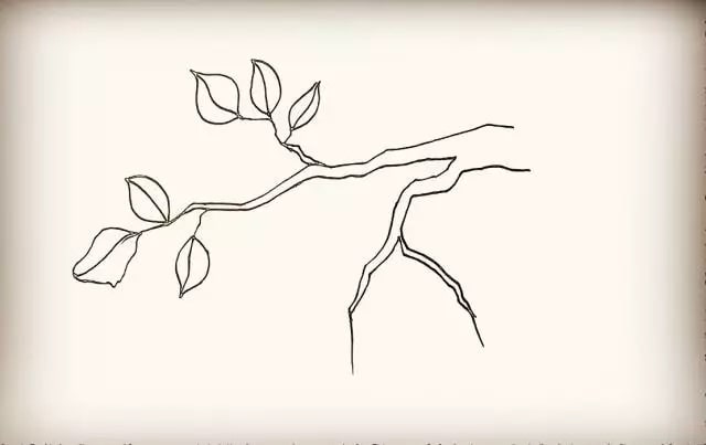 桃树上的桃子简笔画步骤图片