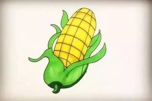 可爱的玉米简笔画步骤图片