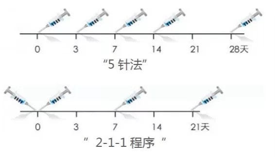 孕期被猫狗咬伤了怎么办