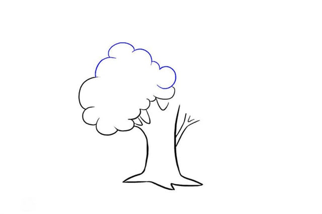 茂密的大树简笔画画法步骤图片