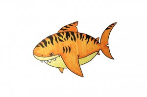 海洋生物虎鲨简笔画