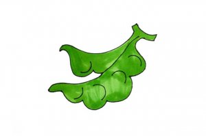 蔬菜荷兰豆简笔画步骤图片