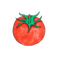 6种常见蔬菜简笔画教程