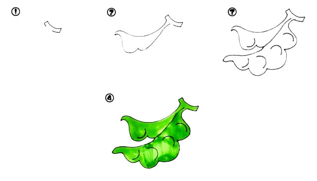 6种常见蔬菜简笔画教程