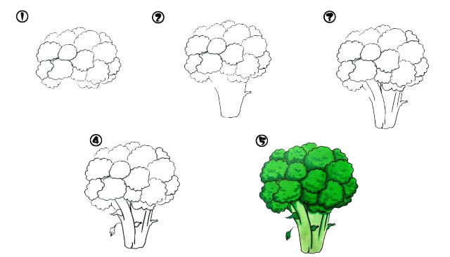 6种常见蔬菜简笔画教程