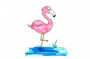 粉红色的火烈鸟简笔画步骤图片