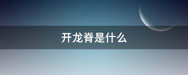 开龙脊是什么意思