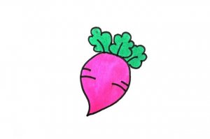 怎么画蔬菜萝卜简笔画简单