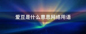 爱豆是什么意思